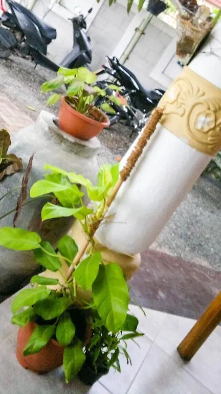 Serendib Guest House Negombo Daire