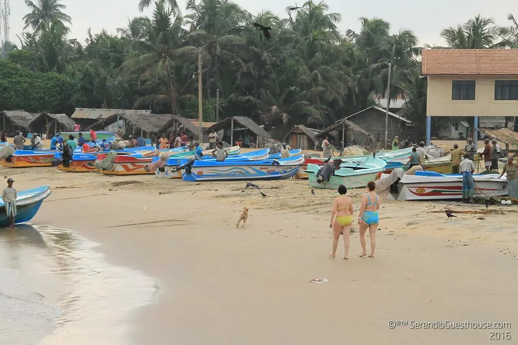 Daire Serendib Guest House Negombo