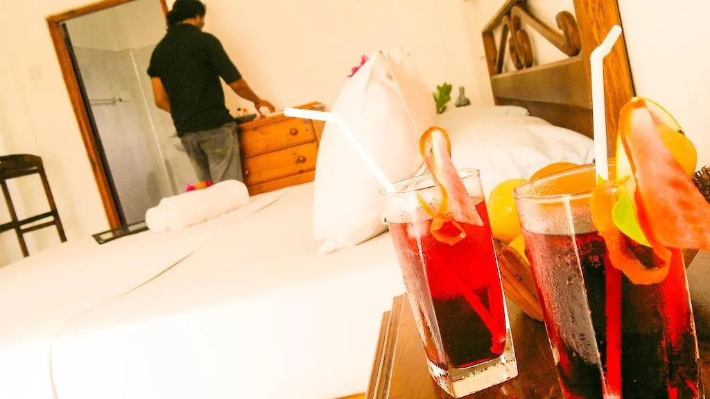 Daire Serendib Guest House Negombo Sri Lanka