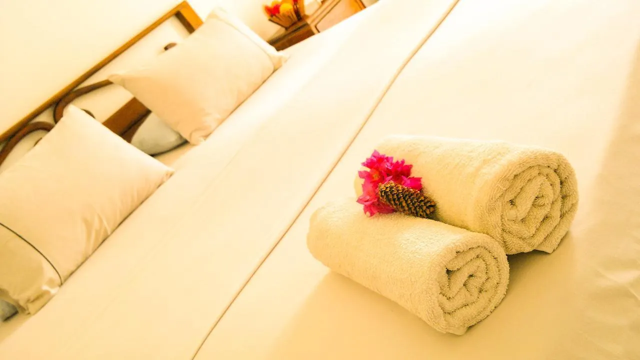 Daire Serendib Guest House Negombo