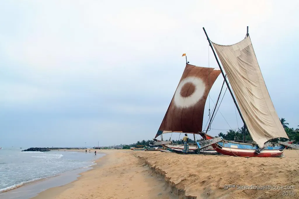 Lejlighed Serendib Guest House Negombo Sri Lanka